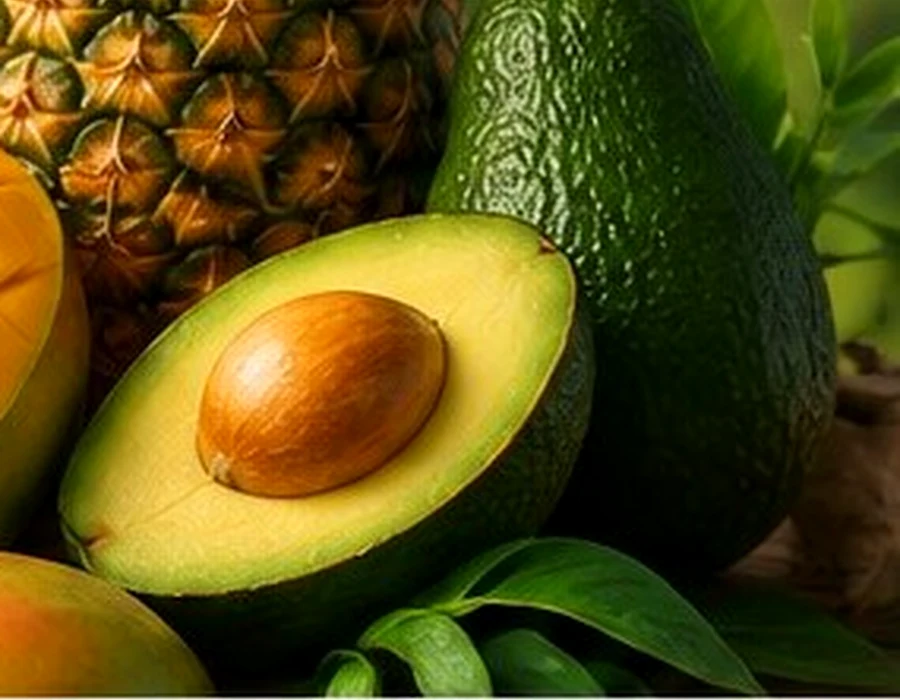 Avokado Hass
